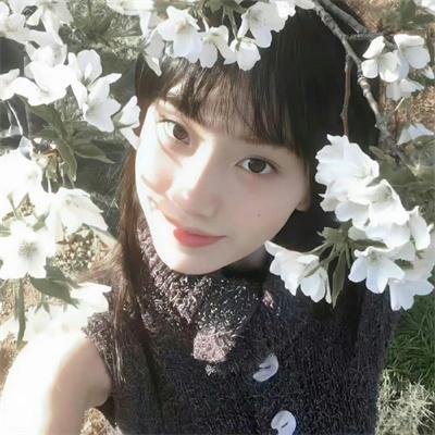 这是我的岛